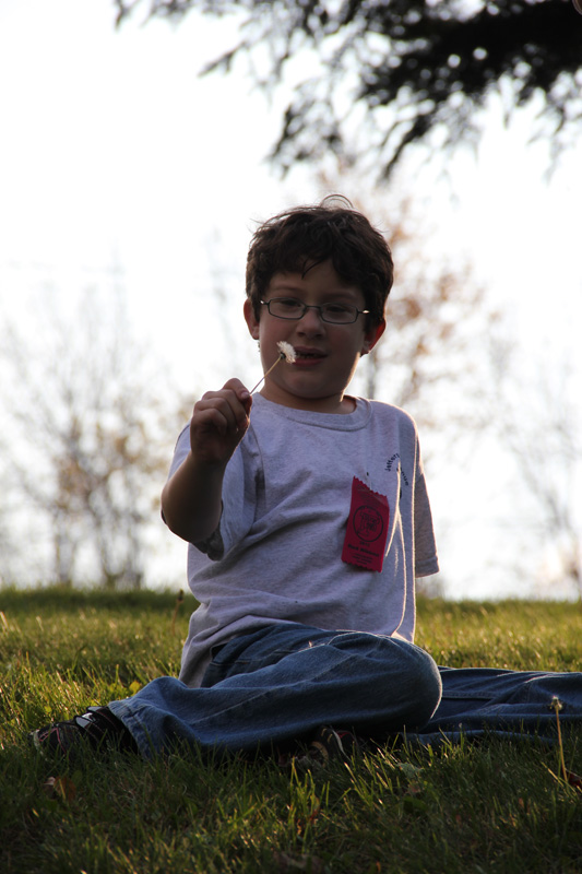slideshow